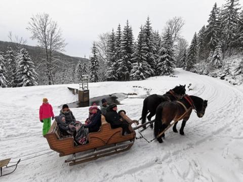 Апартаменты Strefa Ciszy -Lawenda Сверадув-Здруй Экстерьер фото